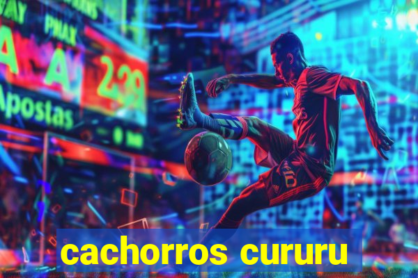 cachorros cururu